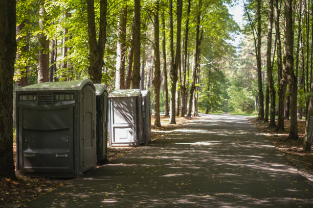 Tree and Shrub Care